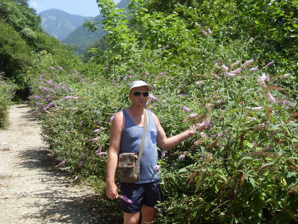 Владимир Фартушный