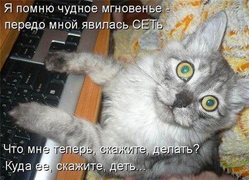 Алексей Савраев