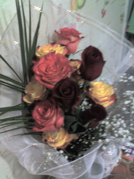 Наталья Климцева