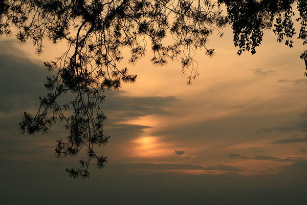 Наташа Земскова