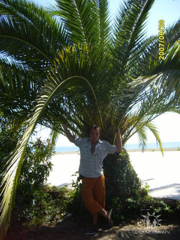 Александр Мамченко