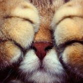 Даниил Иванов