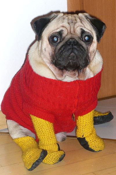 Сергей Перминов