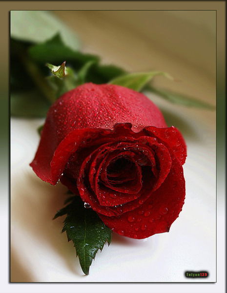 Гульжазира Несипбек