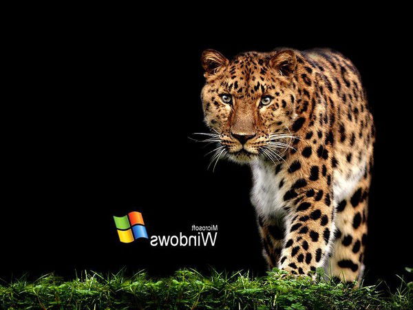 Иван Вишневский