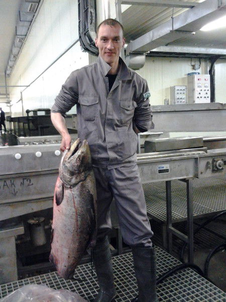 Володя Игнатьев