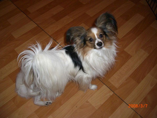 Анна Ларина