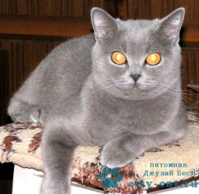 Татьяна Зозуля