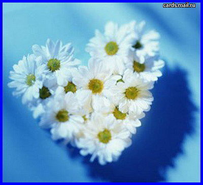 Никитина Валентина