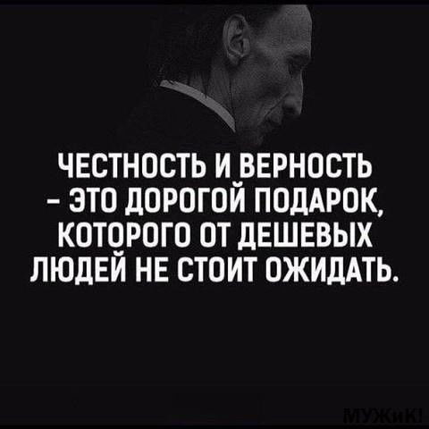 Шамров Илья