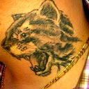(=Leo =)