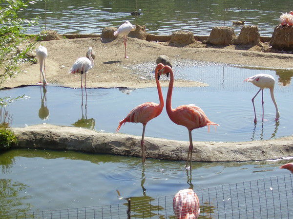 Неизвестно Неизвестно