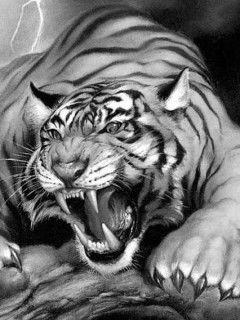 Ольга Соколова