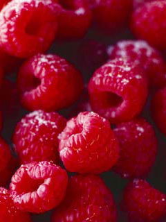 Наталья Малина