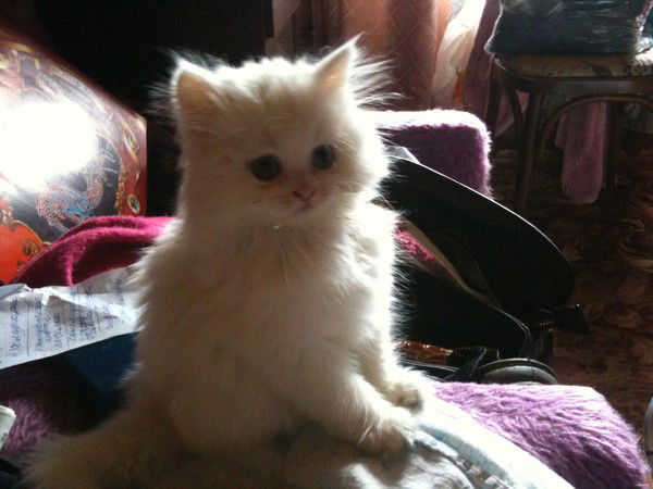 Наталья Сотникова