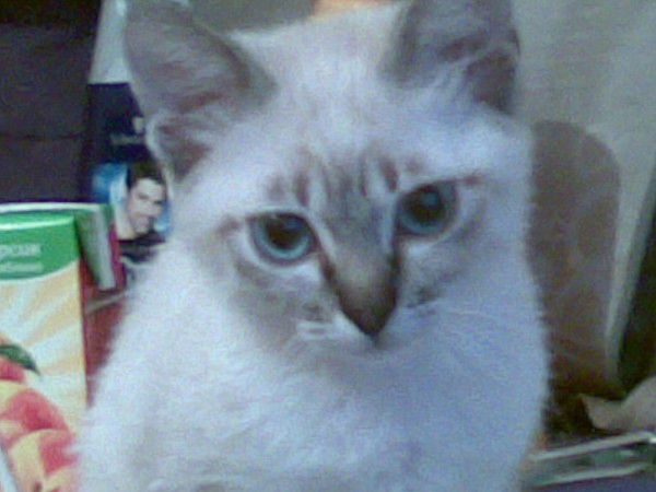 Оксана Чиркова