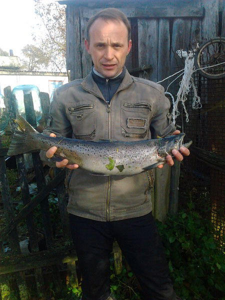 Олег Сальников