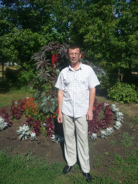 Владимир Земцов