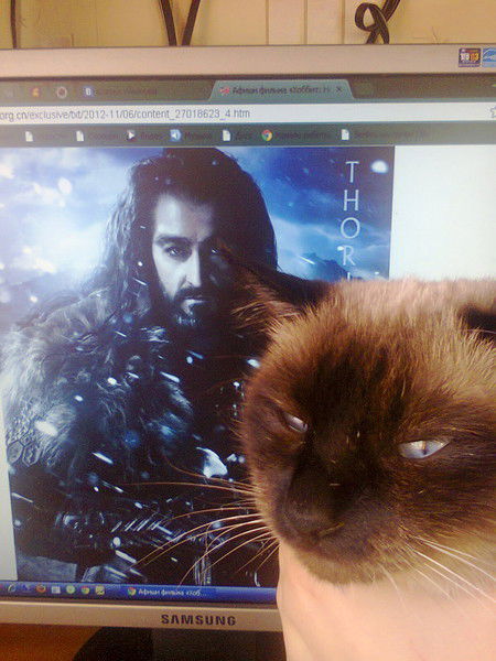 Ксюша Дубощит