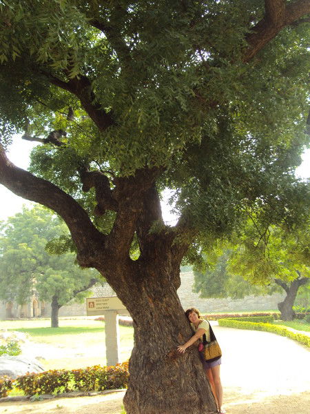 Татьяна Булкина