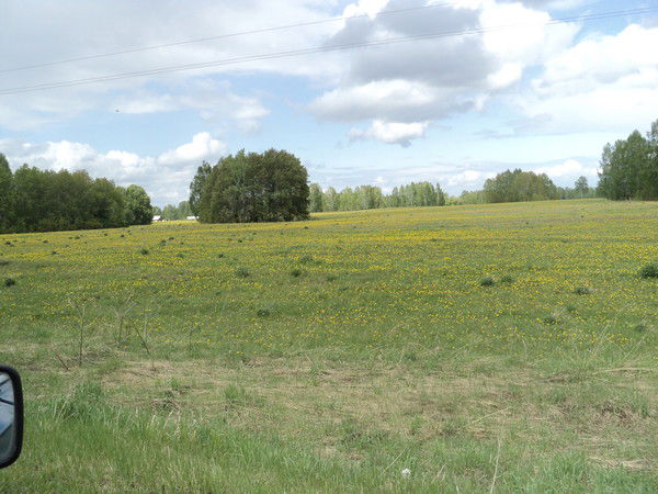 Николай Пасаженников