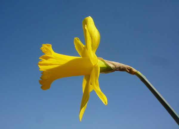 Тамара Федюшкина