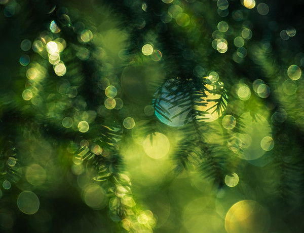 Нефедов Станислав