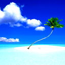 Турсынбай Даулбаев