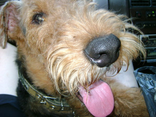 Вакиль Зинуров