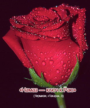 Dinara Jena Luta-Ne Bespokoite