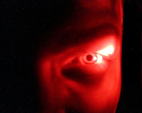 Владимир Безгодов