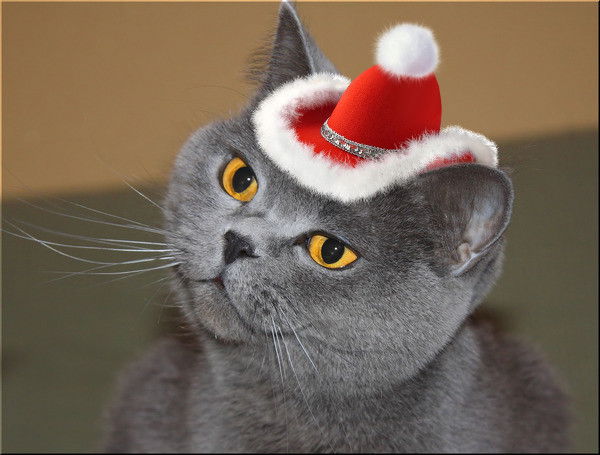 Юрий Григоровских