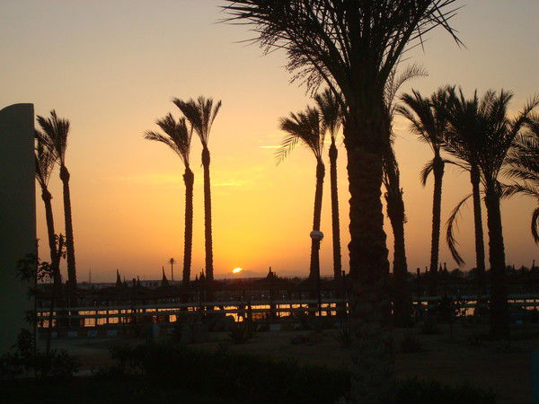 Марина Шильникова