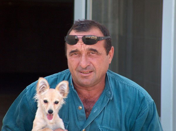 Александр Воловик