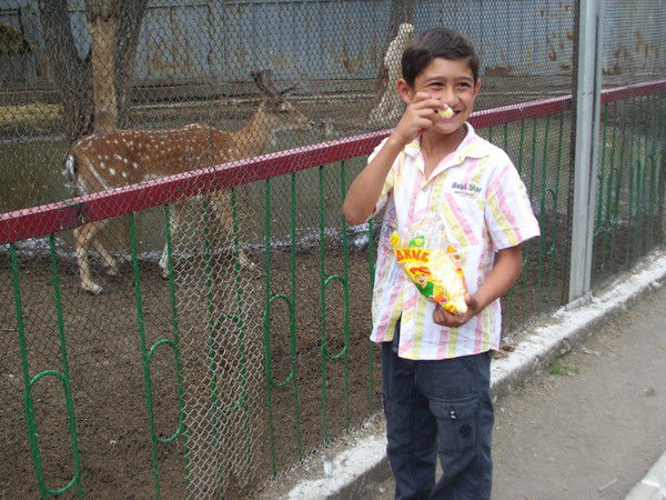 Тимур Закиров