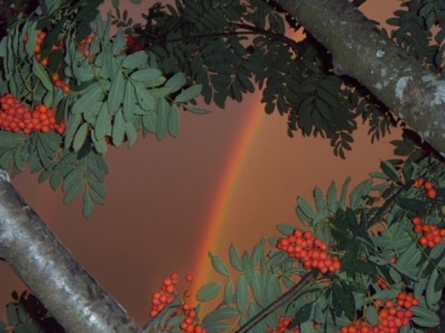 Татьяна Малыхина