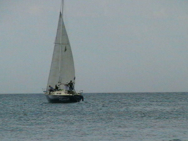 Сергей Нигодин