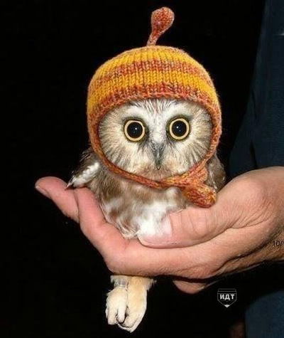 Карина Ковалькова