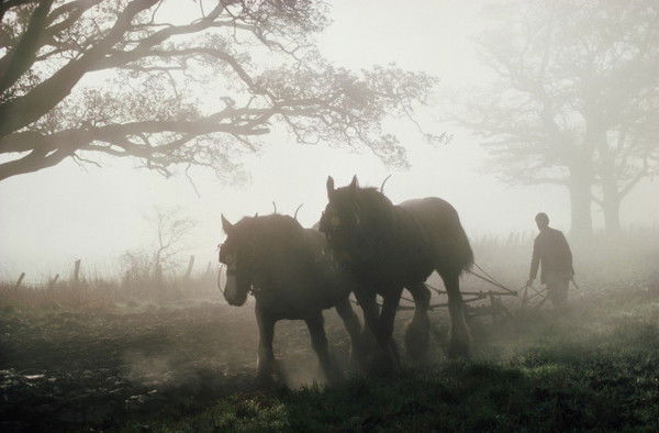 Ахмет Дадеков