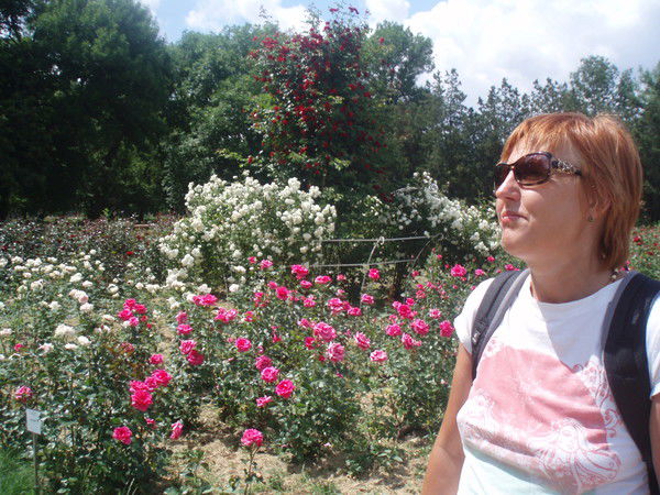 Ирина Метельская