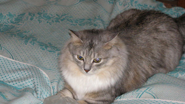 Лариса Юнусова