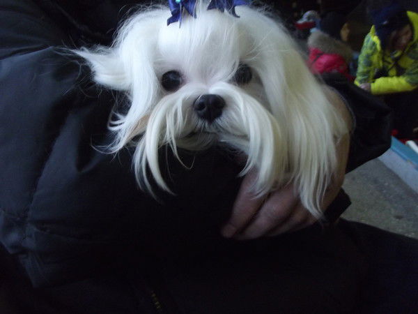 Светлана Костючик