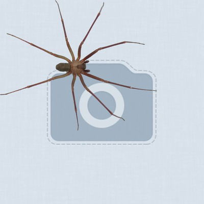 Есет Сериктибаев