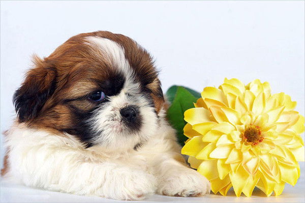 Людмила Кондакова