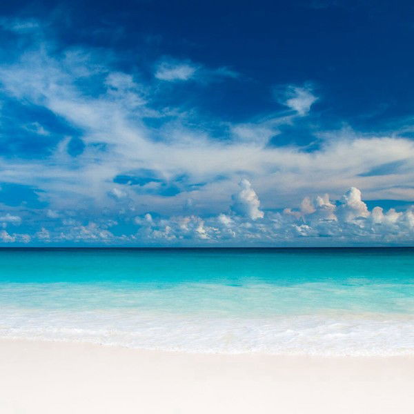 Наталья Емельянова