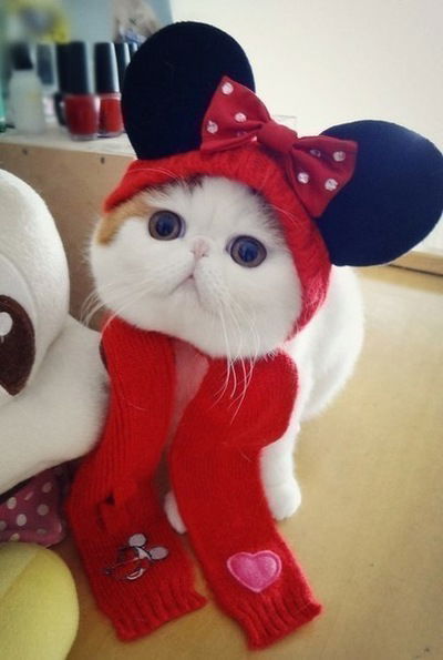 Ядвига Зюзькевич