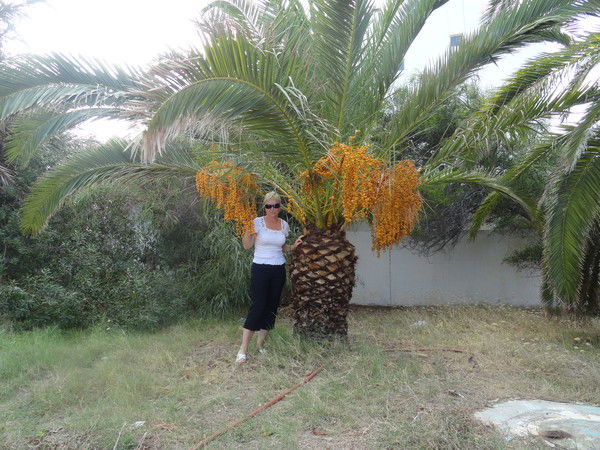 Лариса Попова