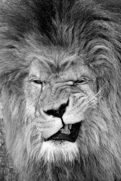 Габибулла Рабаданов