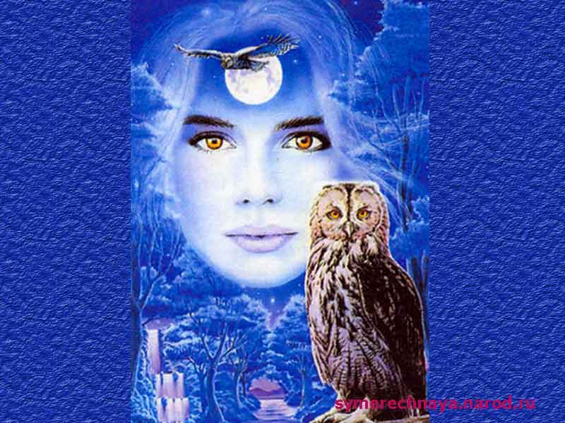 Елена Владимирова