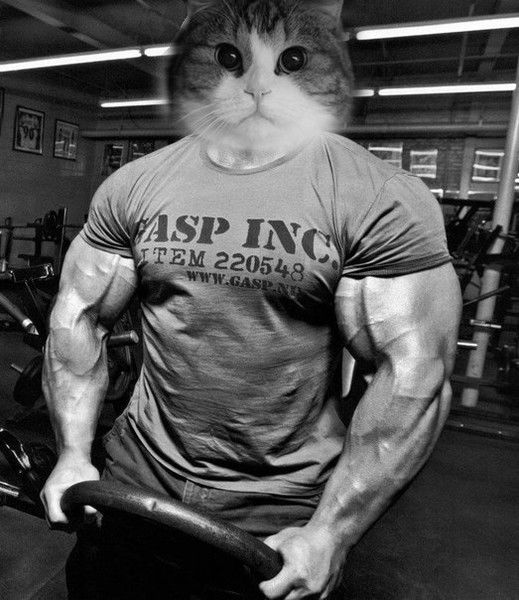 Вадим Дербенёв